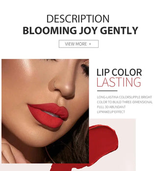 IMAGIC  5-color Set Waterproof Matte Velvet Nude Nude Color Lipstick Lip Gloss Deep Red Long Lasting Lip Gloss Female Lip - Alodia Store