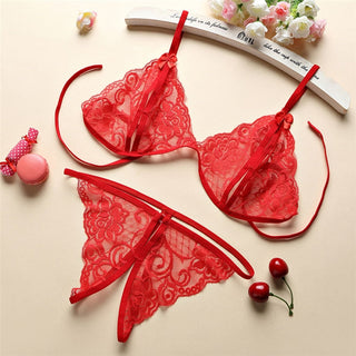 Sexy Lingerie Women Push Up With Lace Straps Transparent Bra Panties Embroidered See Through Comfortable Lingerie Sets Bras ALODIA STORE