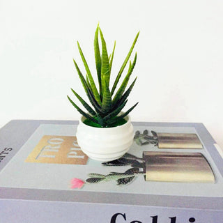 Mini Artificial Aloe Plants Bonsai Small Simulated Tree Pot Plants Fake Flowers Office Table Potted Ornaments Home Garden Decor ALODIA STORE
