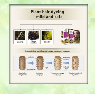 Sevich 10 pcs/lot Instant Black Hair Shampoo Make Grey and White Hair Darkening Shinny in 5 minutes ALODIA STORE
