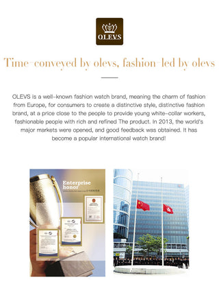 OLEVS Top Brand Automatic Mechanical Men Watch Threaded Dial Waterproof Stainless Steel Strap Classic Men's Watches Luxury ALODIA STORE