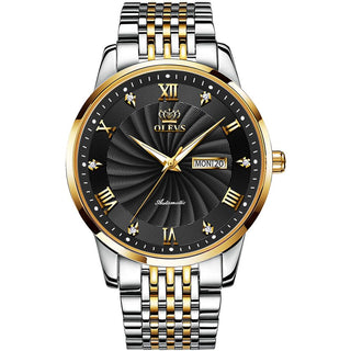 OLEVS Top Brand Automatic Mechanical Men Watch Threaded Dial Waterproof Stainless Steel Strap Classic Men's Watches Luxury ALODIA STORE