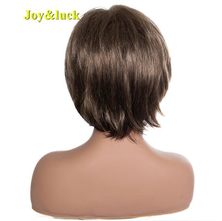 Short Ombre Blonde Wig Synthetic Bob Straight Hair With Bangs Women Natural Daily Wear Wig ALODIA STORE