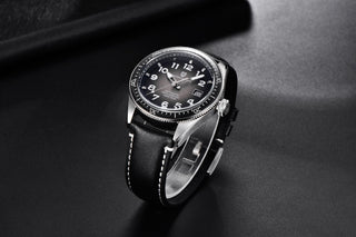 PAGANI DESIGN 2020 Fashion New Men Watch Brand Luxury Waterproof Watch Sports Business Watch Men Stainless Steel Automatic Watch ALODIA STORE