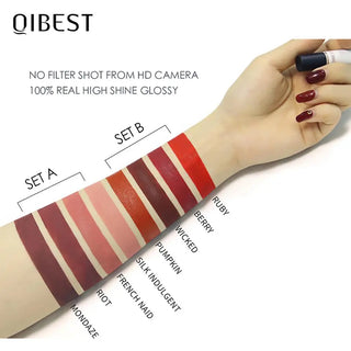 QIBEST Matte Liquid Lipstick Makeup Set Lip Makeup Set Long Lasting Lip Gloss Waterproof Lip Tint Matte Lipgloss Cosmetic Kit - Alodia Store