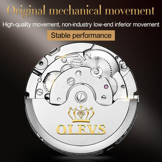 OLEVS Original Watch For Men Automatic Mechanical Watch Top Brand Luxury Tourbillon Wristwatch Classic Male Black Watches  6607 ALODIA STORE