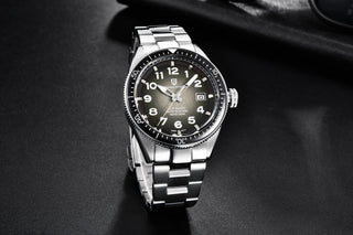 PAGANI DESIGN 2020 Fashion New Men Watch Brand Luxury Waterproof Watch Sports Business Watch Men Stainless Steel Automatic Watch ALODIA STORE