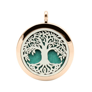 UBELIEVE 30MM Perfume Diffuser Necklace Pendant  Aromatherapy Locket Jewelry Essential Oil Locket Necklace For Women ALODIA STORE