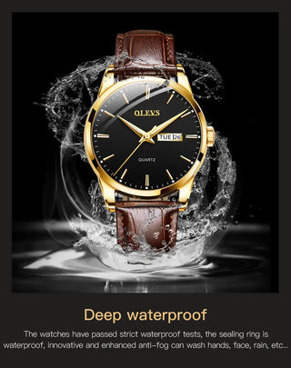 OLEVS Top Brand  Men Classic Quartz Waterproof Watch Leather Strap Business Popular Casual Men Watch ALODIA STORE