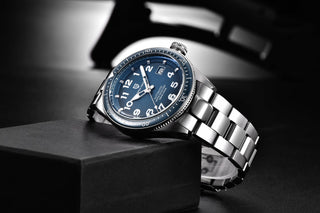 PAGANI DESIGN 2020 Fashion New Men Watch Brand Luxury Waterproof Watch Sports Business Watch Men Stainless Steel Automatic Watch ALODIA STORE