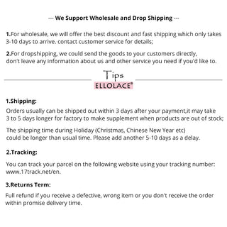 Ellolace Lace Lingerie Embroidery Women's Underwear Transparent Erotic Push Up Bra And Panty Set Black Fancy Garters Intimate ALODIA STORE