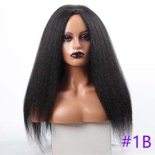 Long Kinky Straight Synthetic Wigs for Black Women Black Brown Blonde Ginger Red White Hair Afro Wigs Synthetic STW Hair Wigs ALODIA STORE