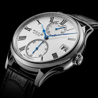 FEICE Business Watch For Men Mechanical Watch Vintage Casual Sport Watch Automatic Wristwatch for Men Fashion Timepiece - FM218 ALODIA STORE