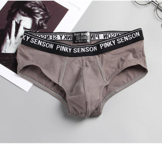 Pinky Senson Mens Underware Briefs Calzoncillos трусы мужские Brave Person Mens DesignerBriefs Gays Clothes ALODIA STORE
