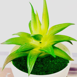 Mini Artificial Aloe Plants Bonsai Small Simulated Tree Pot Plants Fake Flowers Office Table Potted Ornaments Home Garden Decor ALODIA STORE