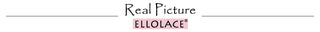 Ellolace Lace Lingerie Embroidery Women's Underwear Transparent Erotic Push Up Bra And Panty Set Black Fancy Garters Intimate ALODIA STORE