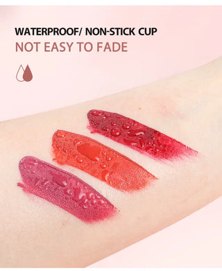 IMAGIC  5-color Set Waterproof Matte Velvet Nude Nude Color Lipstick Lip Gloss Deep Red Long Lasting Lip Gloss Female Lip - Alodia Store