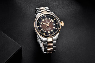 PAGANI DESIGN 2020 Fashion New Men Watch Brand Luxury Waterproof Watch Sports Business Watch Men Stainless Steel Automatic Watch ALODIA STORE