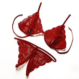 Sexy Lingerie Women Push Up With Lace Straps Transparent Bra Panties Embroidered See Through Comfortable Lingerie Sets Bras ALODIA STORE