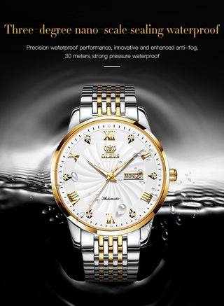 OLEVS Top Brand Automatic Mechanical Men Watch Threaded Dial Waterproof Stainless Steel Strap Classic Men's Watches Luxury ALODIA STORE