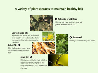 Sevich 10 pcs/lot Instant Black Hair Shampoo Make Grey and White Hair Darkening Shinny in 5 minutes ALODIA STORE