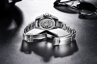 PAGANI DESIGN Stainless Steel Waterproof Mechanical Watch Top Brand Sapphire Glass Automatic Watch Luxury Business Men Watch ALODIA STORE