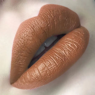 FOCALLURE 27 Colors Matte Lipstick High Gloss Crayons Long Lasting Waterproof Lip Makeup Cosmetics ALODIA STORE