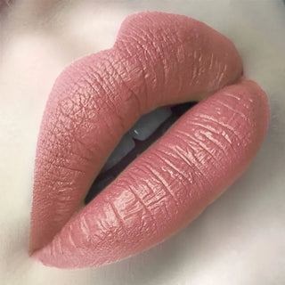 FOCALLURE 27 Colors Matte Lipstick High Gloss Crayons Long Lasting Waterproof Lip Makeup Cosmetics ALODIA STORE