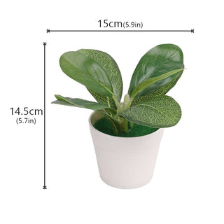 Mini Artificial Aloe Plants Bonsai Small Simulated Tree Pot Plants Fake Flowers Office Table Potted Ornaments Home Garden Decor ALODIA STORE