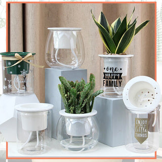 Self Watering Planter Pots Mini Round Design Succulent Plant Pot Indoor Home Garden Modern Decorative Pot Garden Supplies FU ALODIA STORE