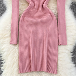 Elegant Turtleneck Long Sleeve Knit Bodycon Pencil Dress Slim Basic Fashion Sweater Vestido Sexy Women Autumn Winter Clothing ALODIA STORE
