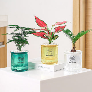 Self Watering Planter Pots Mini Round Design Succulent Plant Pot Indoor Home Garden Modern Decorative Pot Garden Supplies FU ALODIA STORE
