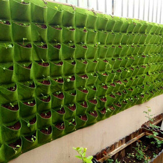 NEW Wall Hanging Pockets Planting Bags Flower Pot Waterproof Grow Bag Garden Planter Vertical Suculentas Plant Pot Home Decor ALODIA STORE