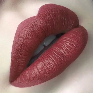 FOCALLURE 27 Colors Matte Lipstick High Gloss Crayons Long Lasting Waterproof Lip Makeup Cosmetics ALODIA STORE