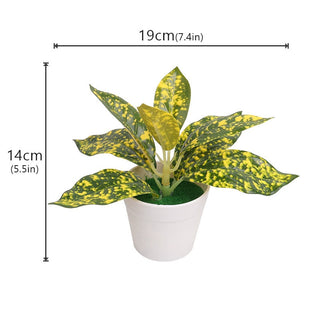 Mini Artificial Aloe Plants Bonsai Small Simulated Tree Pot Plants Fake Flowers Office Table Potted Ornaments Home Garden Decor ALODIA STORE