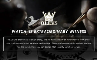 OLEVS Men Watch Automatic Mechanical Watch Stianless Top Brand Luxury Moon phase SkeletonTourbillon Wristwatch Reloj hombres ALODIA STORE