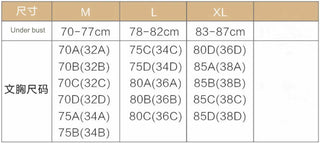 Lace Bra Beauty Back Bralette Women Sexy Wrapped Chest Camisole Tube Top Bottoming Vest Gathered Student Girl Underwear ALODIA STORE