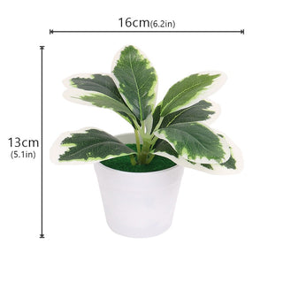 Mini Artificial Aloe Plants Bonsai Small Simulated Tree Pot Plants Fake Flowers Office Table Potted Ornaments Home Garden Decor ALODIA STORE