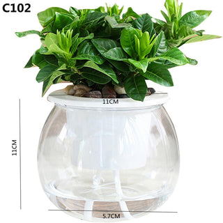 Self Watering Planter Pots Mini Round Design Succulent Plant Pot Indoor Home Garden Modern Decorative Pot Garden Supplies FU ALODIA STORE