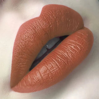 FOCALLURE 27 Colors Matte Lipstick High Gloss Crayons Long Lasting Waterproof Lip Makeup Cosmetics ALODIA STORE