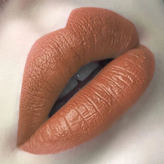 FOCALLURE 27 Colors Matte Lipstick High Gloss Crayons Long Lasting Waterproof Lip Makeup Cosmetics ALODIA STORE