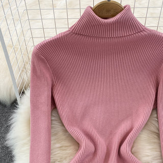 Elegant Turtleneck Long Sleeve Knit Bodycon Pencil Dress Slim Basic Fashion Sweater Vestido Sexy Women Autumn Winter Clothing ALODIA STORE