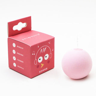 Smart Interactive Cat Toys ALODIA STORE