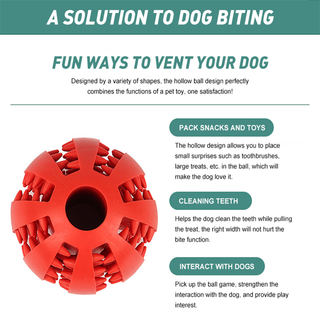 Watermelon Ball for Dog Toy ALODIA STORE