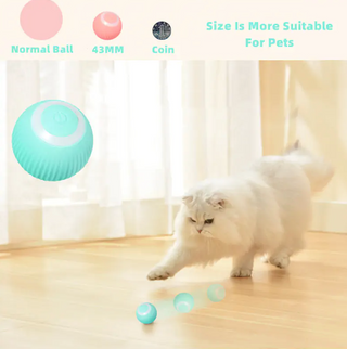 Smart Cat Ball Toys USB Charging ALODIA STORE