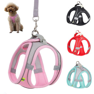 Dog Harness Leash Set for Small Dogs ALODIA STORE