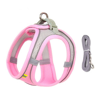 Dog Harness Leash Set for Small Dogs ALODIA STORE