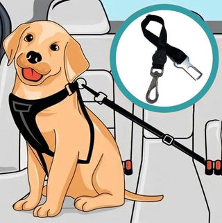Pet Seatbelt ALODIA STORE