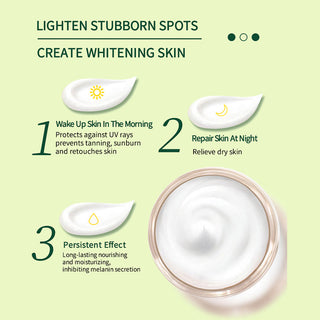 Korean Natural Vegan Neck Facial Vitamin C Acne Pimples Dark Spot Remover ALODIA STORE