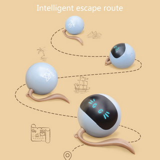 Kitten Electronic Ball ALODIA STORE